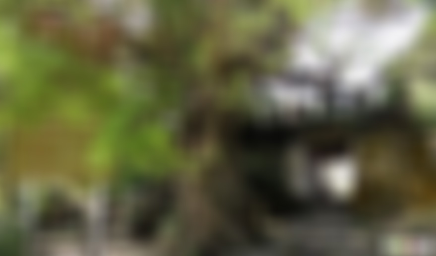 广东广州景点平和大押(民俗文化博物馆)景点介绍1