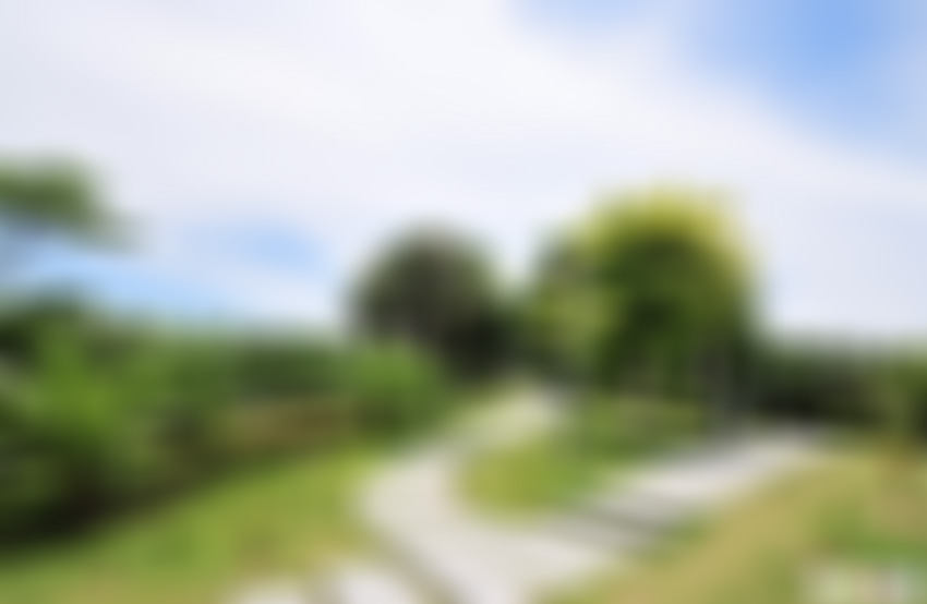 广东广州景点广州民俗博物馆景点介绍1