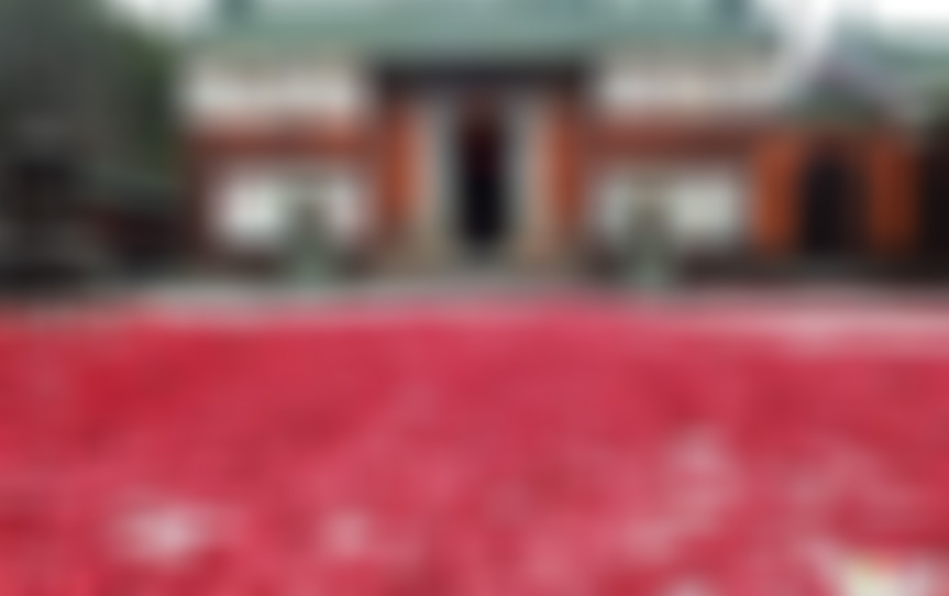 广东惠州景点南昆山云顶温泉景点介绍1