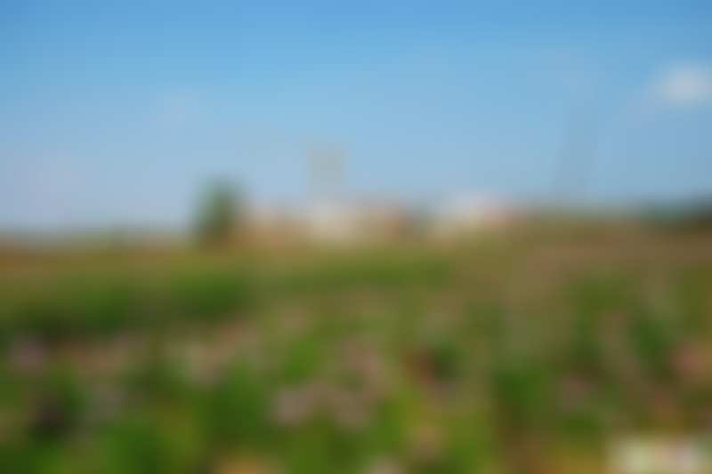 广东惠州景点罗浮山九天观景点介绍1