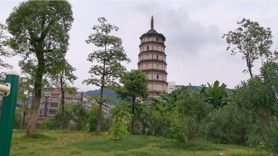 广东佛山景点南海区博物馆景点介绍1