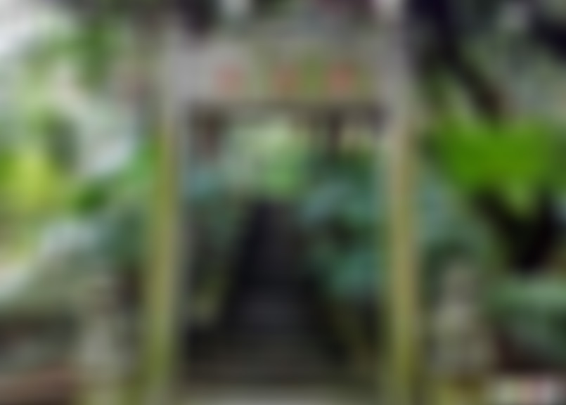 广东深圳景点凤凰山山顶胜地景区景点介绍1