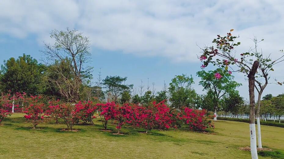 广东珠海景点海泉湾度假区景点介绍1