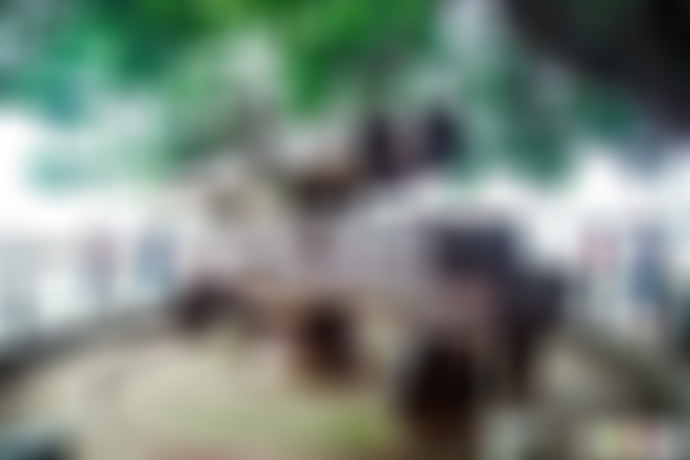 广东湛江景点杨桃沟生态旅游风景区景点介绍1