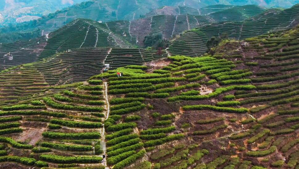 广东清远景点龙潭度假区景点介绍1