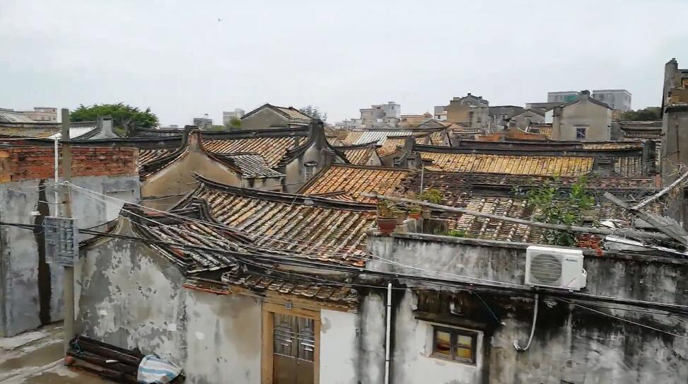 广东阳江景点螺洲公园景点介绍1