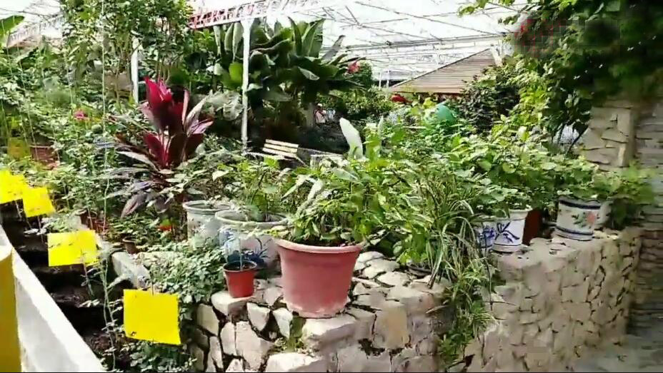 广东广州景点星海公园景点介绍1