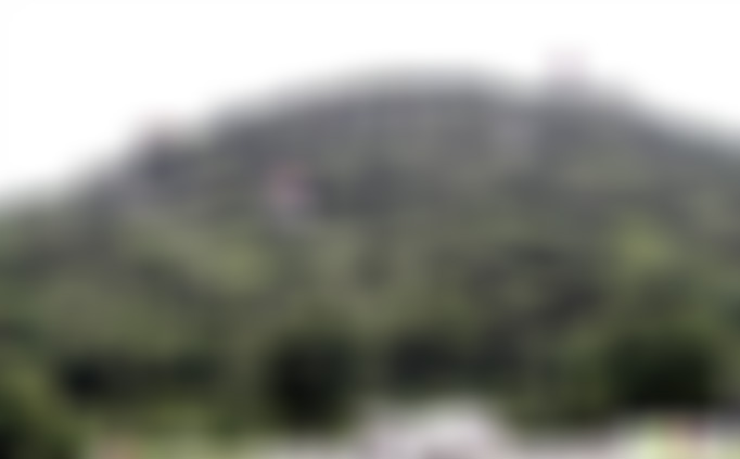 广东湛江景点九龙山红树林湿地公园景点介绍1