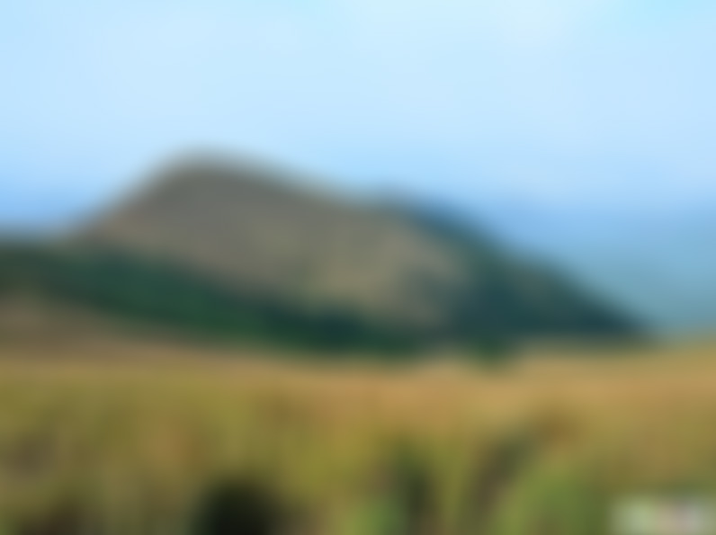 广东深圳景点深圳国际园林花卉博览园景点介绍1