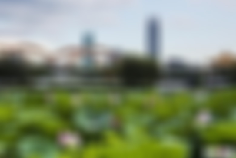 广东深圳景点洪湖公园景点介绍1