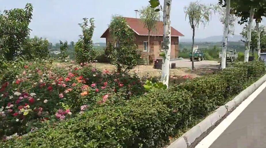 广东湛江景点南国热带花园景点介绍1