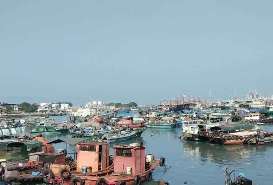 广东深圳景点园博园福塔景点介绍1