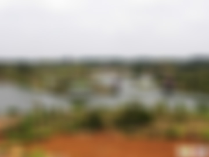 广东湛江景点龙泉森林公园景点介绍1