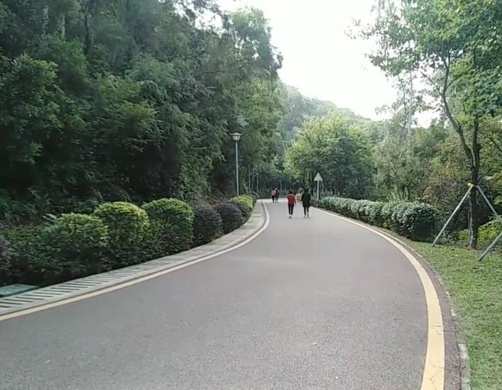 广东肇庆景点李光裕堂景点介绍1