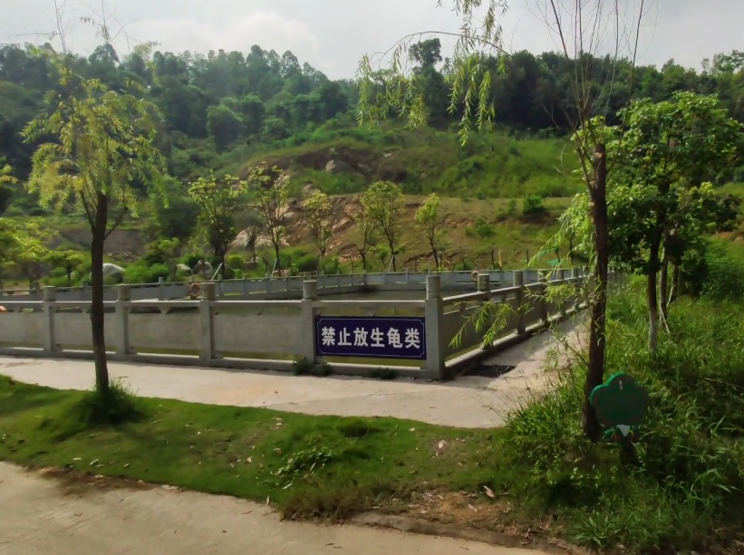 广东广州景点湖心岛风景区(国家3A级)景点介绍1