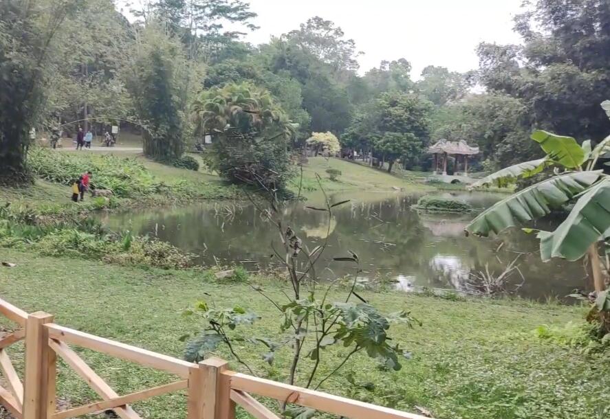 广东梅州景点白鹤仙师景区景点介绍1