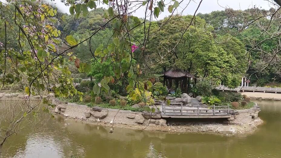 广东深圳景点园山风景区(国家3A级)景点介绍1