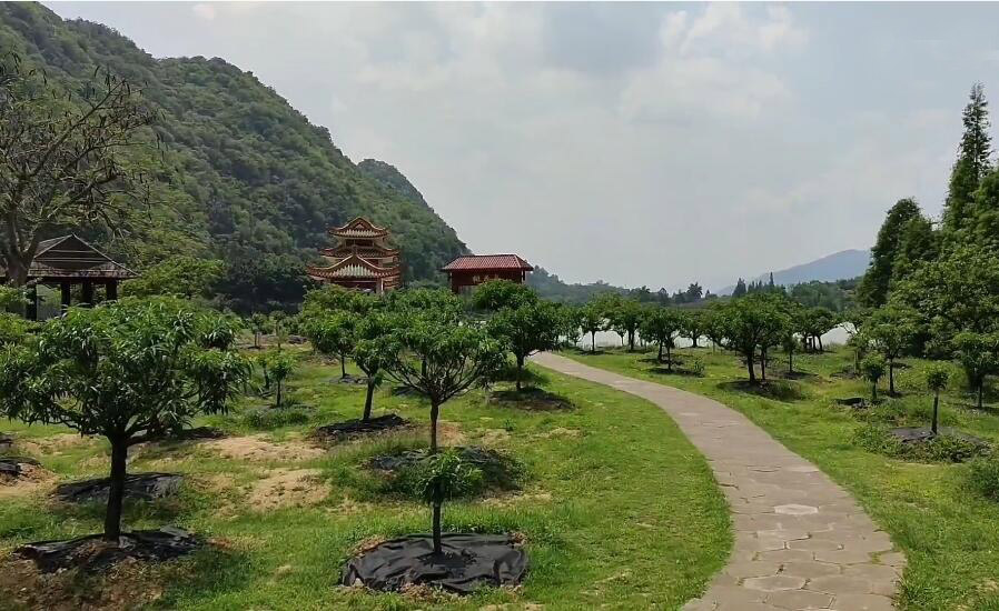 广东肇庆景点七星岩桃花岛景点介绍1