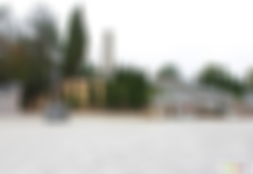 广东河源景点河源恐龙博物馆景点介绍1