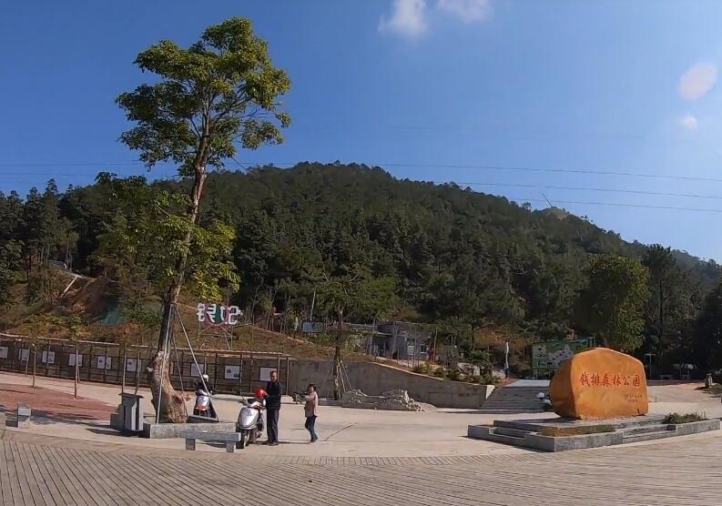 广东珠海景点淇澳红树林湿地公园景点介绍1