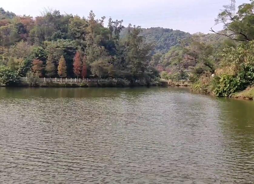 广东梅州景点神光山森林公园(国家4A级)景点介绍1