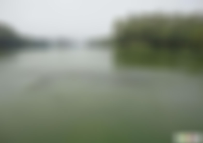 广东佛山景点仙湖度假区景点介绍1