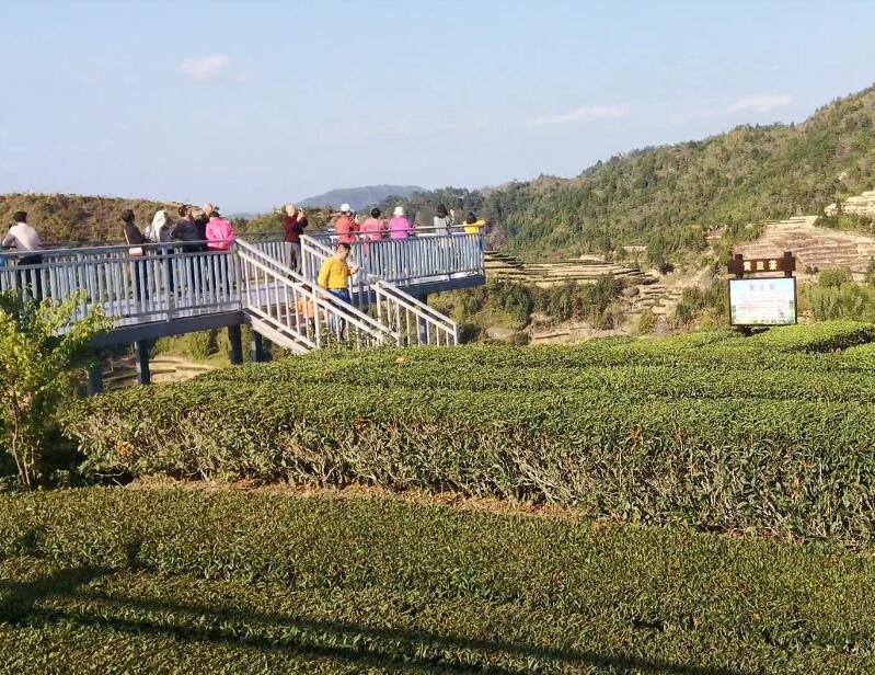 广东佛山景点千灯湖公园景点介绍1