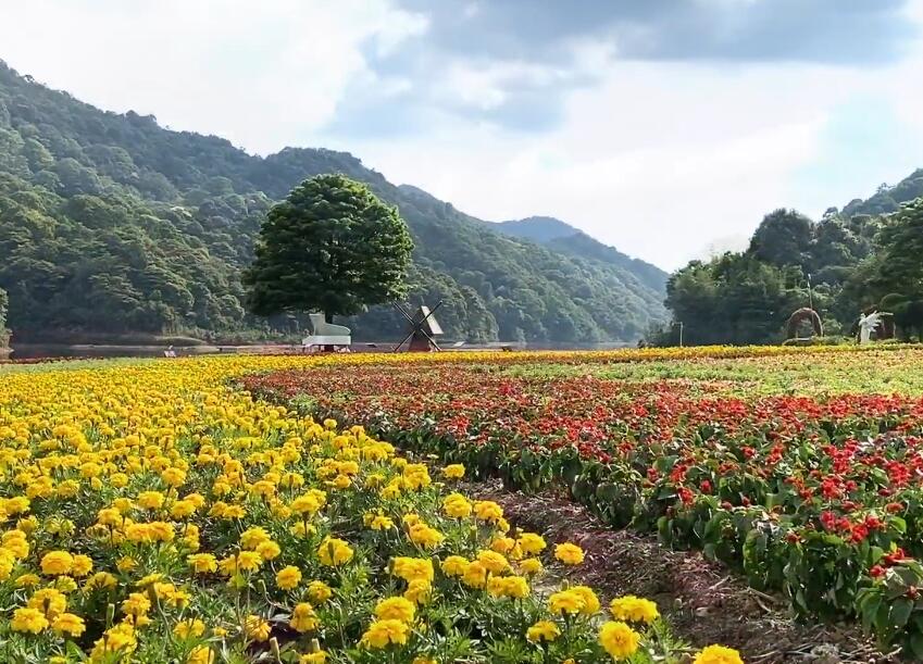 广东江门景点海角城度假区景点介绍1