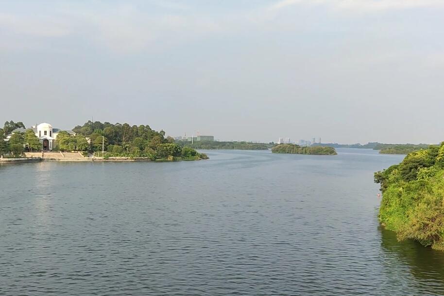 广东深圳景点仙湖植物园(国家4A级)景点介绍1