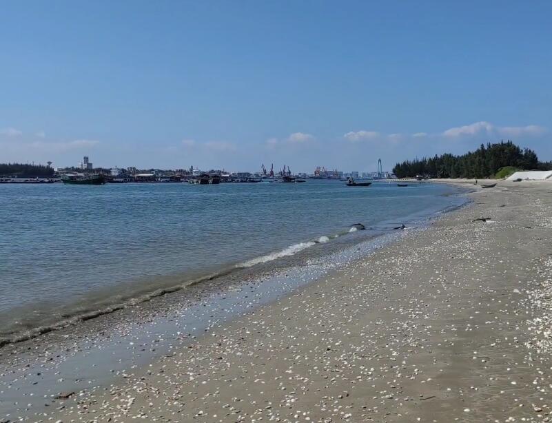 广东茂名景点水东湾海洋公园景点介绍1