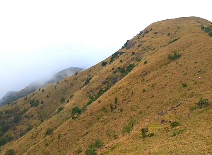 广东东莞景点东莞植物园景点介绍1