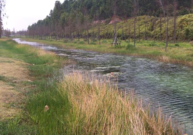 广东茂名景点丁堡九寨沟景点介绍1