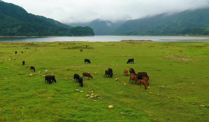 广东东莞景点大王山森林公园景点介绍1