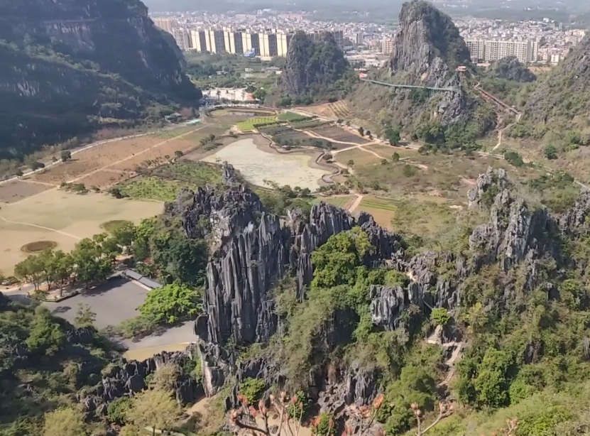 广东佛山景点天湖森林公园景点介绍1