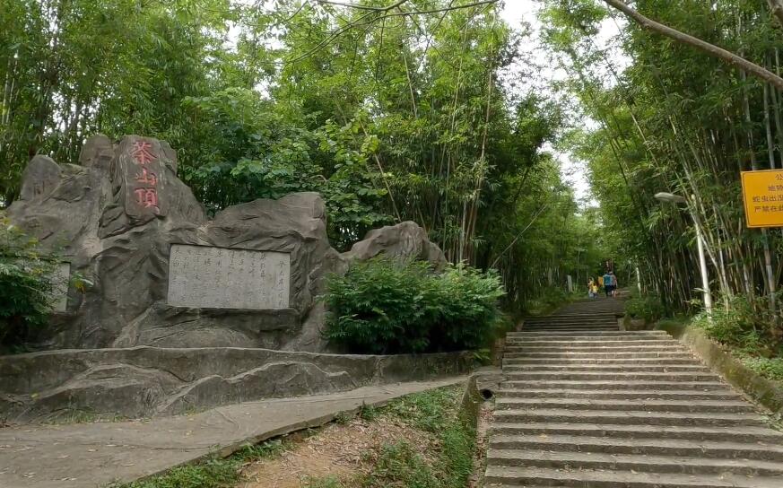 广东东莞景点大岭山茶山顶景点介绍1