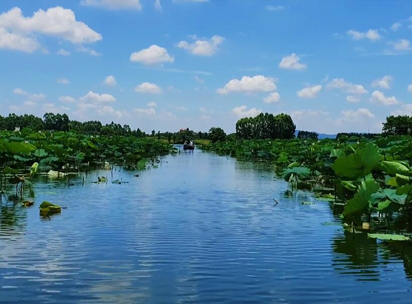 广东广州景点广州动物园景点介绍1