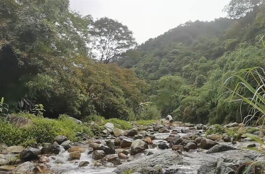 广东清远景点石门台国家级自然保护区景点介绍1