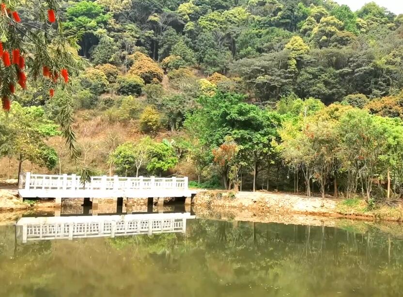 广东揭阳景点念恩山生态园景点介绍1