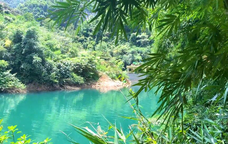 广东茂名景点放鸡岛景点介绍1