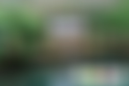 四川雅安空石林蝴蝶泉景点介绍1