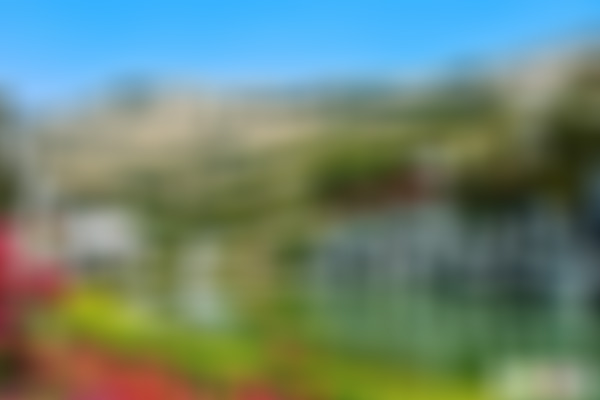 四川广元翠云廊结义柏景区景点介绍1