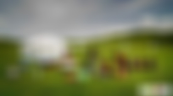 四川甘孜达通玛大草原景点介绍1