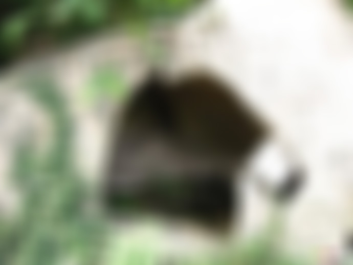 广东广州景点十八罗汉山森林公园景点介绍1