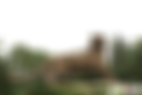 四川广元剑门关过关桥景点介绍1