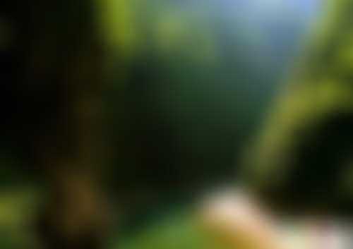 四川达州百里峡桃溪胜景区景点介绍1