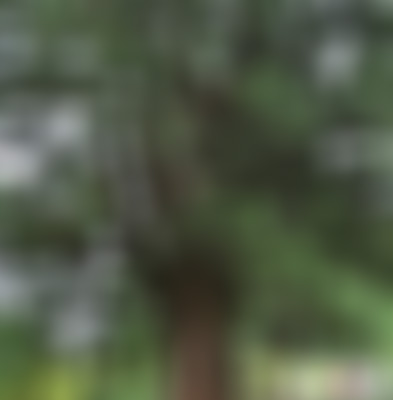 四川巴中光雾山龙潭跌瀑景点介绍1