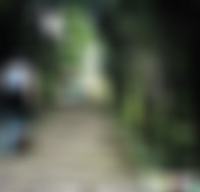 四川乐山峨眉山化石游道景点介绍1