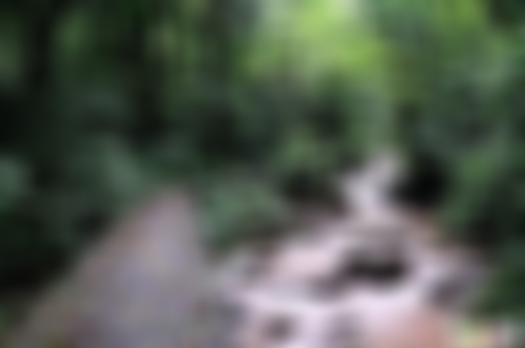 四川甘孜日瓦青蛙海景点介绍1