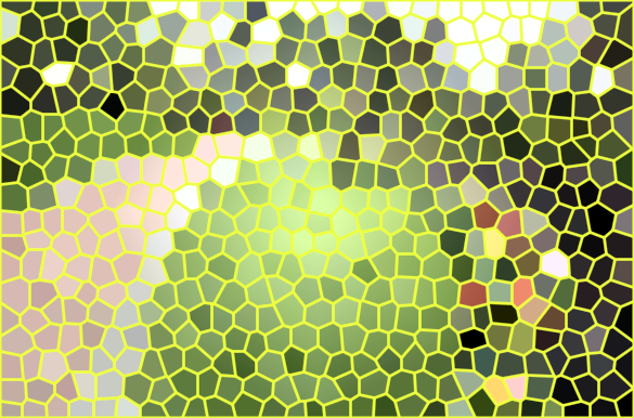 四川雅安坪阳村景点介绍1