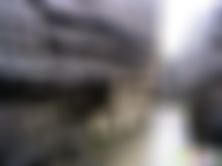 四川雅安空石林化石科教长廊景点介绍1